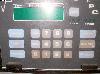  ROACHES Model TPC lab dyer,